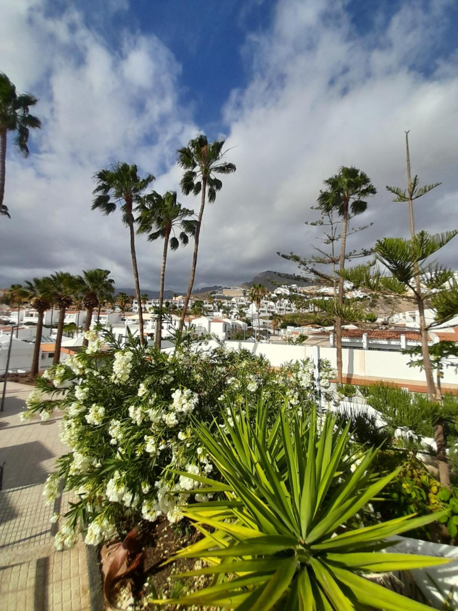 Apartments Island Village Heights Costa Adeje  Luaran gambar